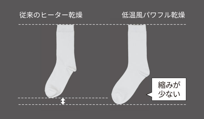 ]̃q[^[^ቷpt@rC[W