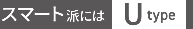 X}[ghɂU type
