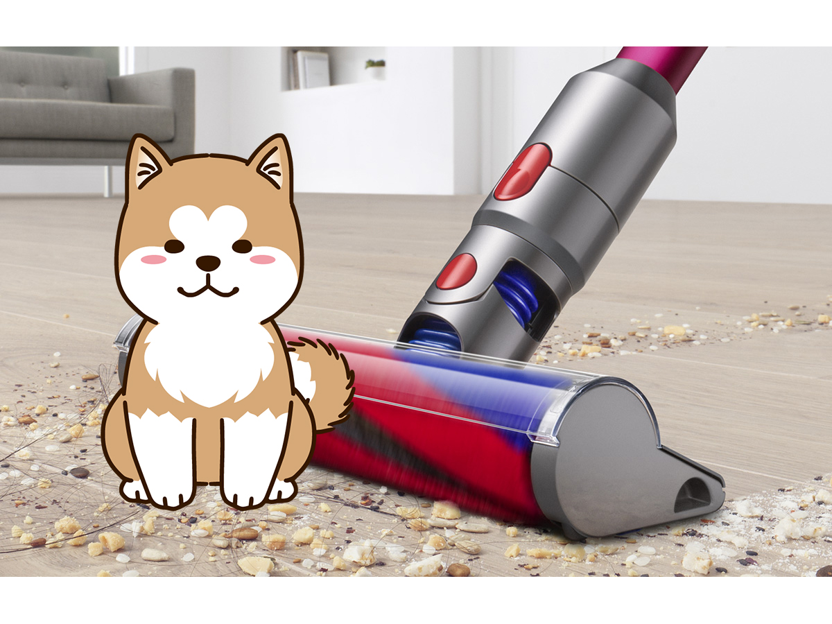 ワンちゃんの換毛期はダイソンで解決！Dyson V7・V8・V8 slimで試して