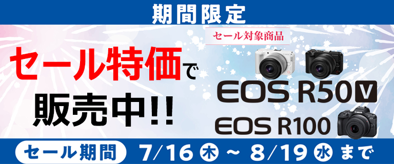 CANON ミラーレスカメラ EOS R100 RF-S18-45 IS STMレンズキット