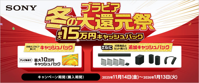 ブラビア冬の大還元祭
