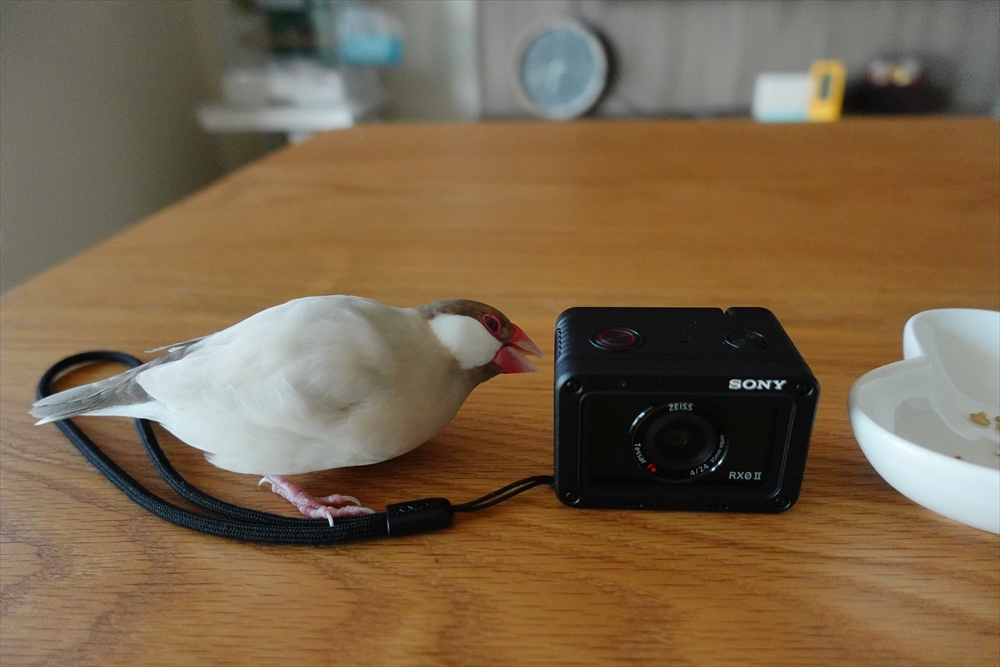 育児カメラはもっともっと小さくて良かったのでした ソニー コンパクトデジカメ RX0 II編 ノジマオンライン女子家電レポート