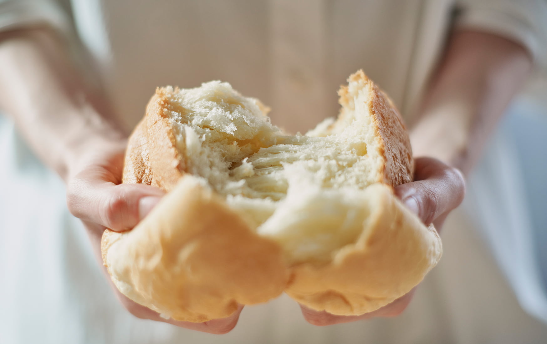 �R���p�N�g�x�[�J���[�@�ʐ^2