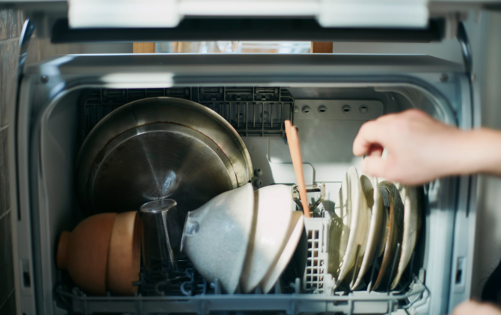 �H��􂢊����@�@�ʐ^5