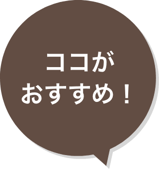 �R�R���������߁I