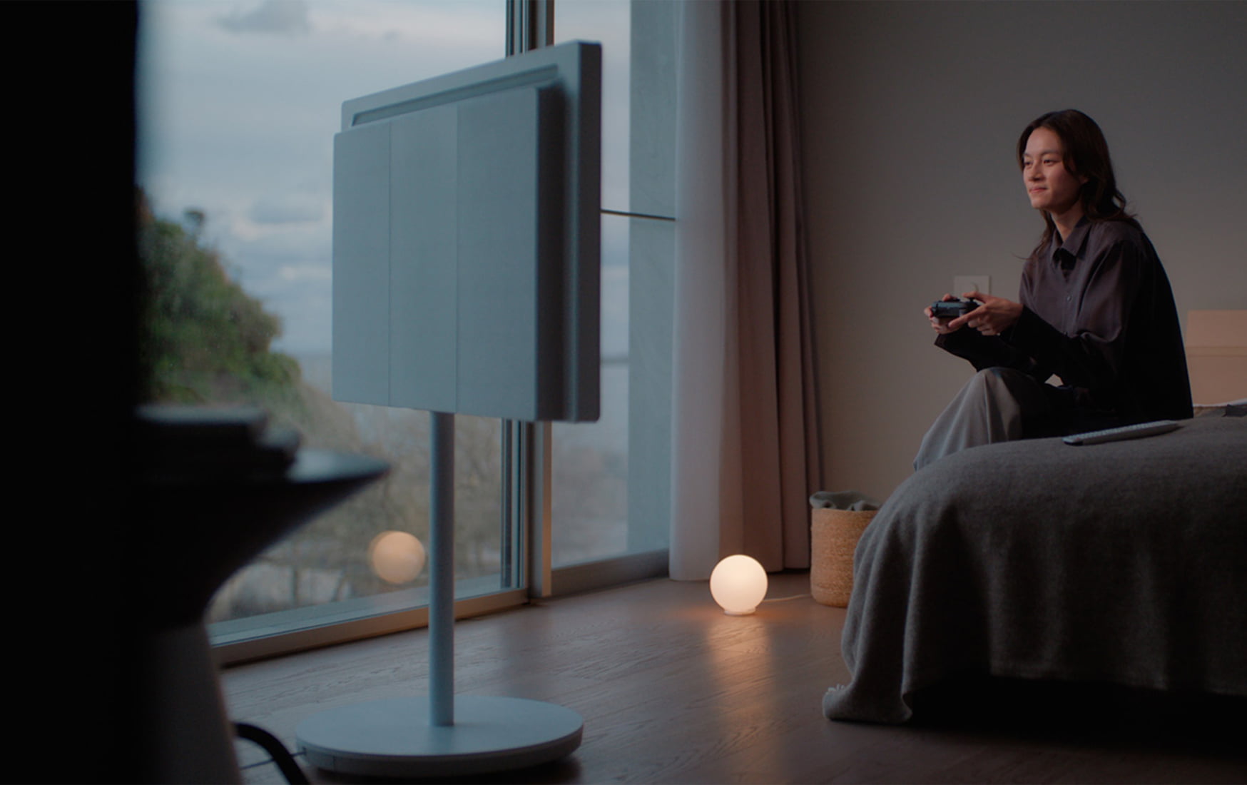 ���C�A�E�g�t���[�e���r�@�ʐ^2