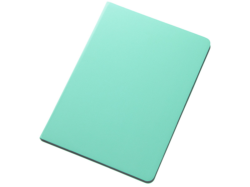 iPad Air 2 カラフル・スリムレザージャケット(合皮)/ミントグリーン