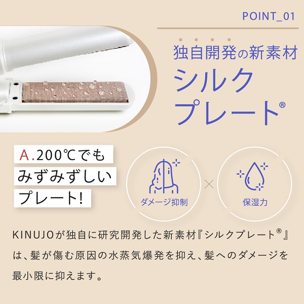 LIP IRON