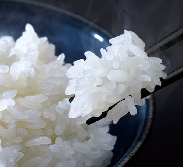 真空圧力IH炊飯器 [5.5合炊 / グランブラック]