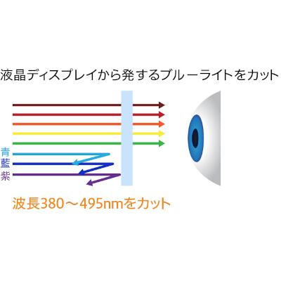 21.45インチワイド/FSAパネル/3年間保証/2022年12月モデル