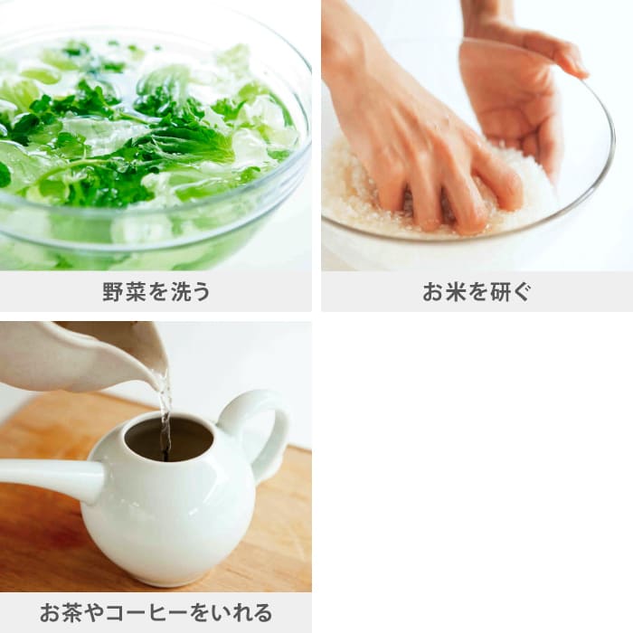 タカギ 蛇口直結型浄水器 ナチュラル本体セット (浄水カートリッジ 2個入) 日本製