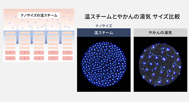 【クーポン対象外】  スチーマー ナノケア【コンパクトタイプ/クリーム調】  EHSA3D-C