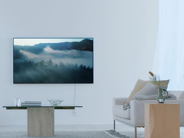 4K有機ELテレビ VIERA(ビエラ)【55V型/有機EL】  TH-55LW2L