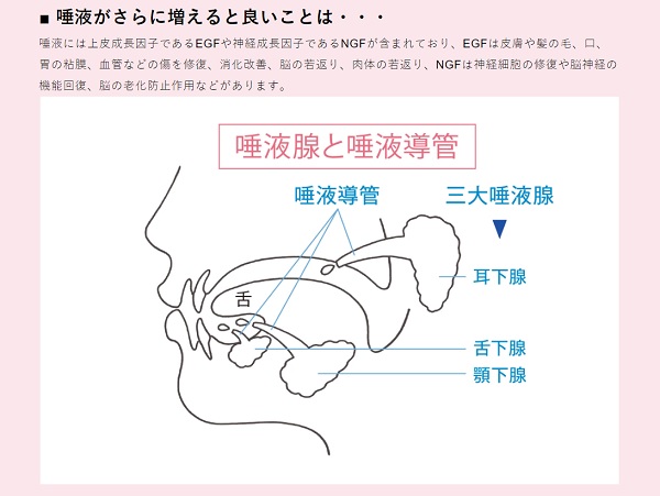 口腔ケア　サリオーラ・ボーテ