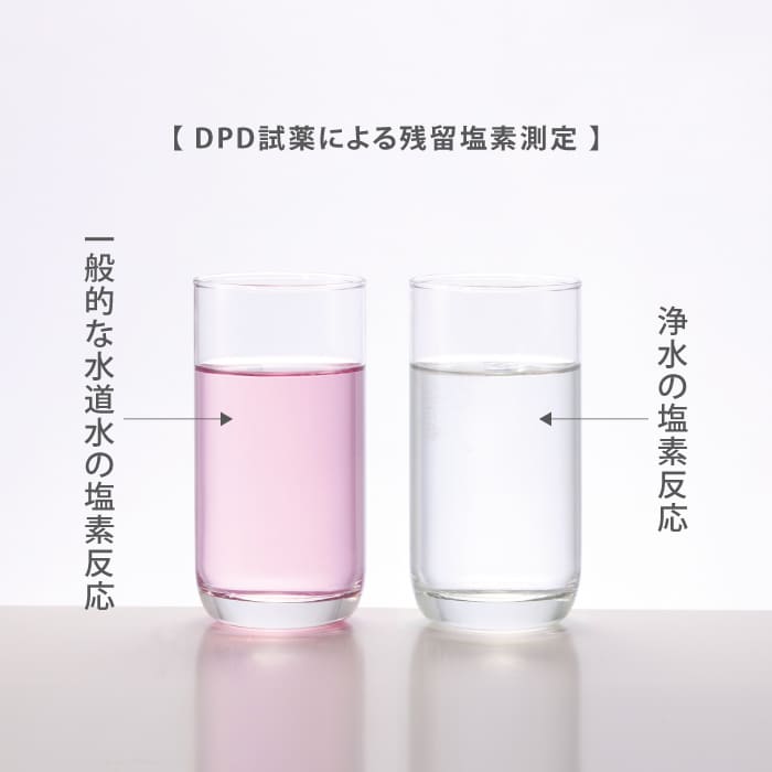 タカギ 浄水カートリッジ(2個入) 浄水フィルター 蛇口直結型浄水器 ナチュラル 日本製