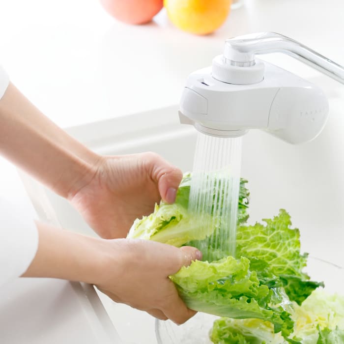 タカギ 蛇口直結型浄水器 ナチュラル本体セット (浄水カートリッジ 1個入) 日本製