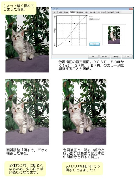 簡単!チラシ印刷千客万来5プレミアム