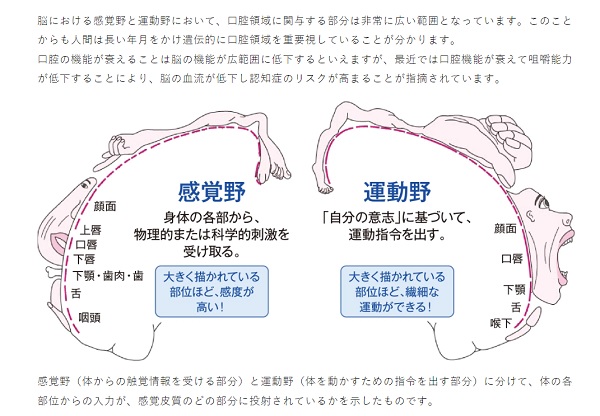 口腔ケア　サリオーラ・ボーテ