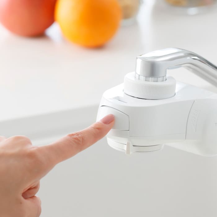 タカギ 蛇口直結型浄水器 ナチュラル本体セット (浄水カートリッジ 2個入) 日本製