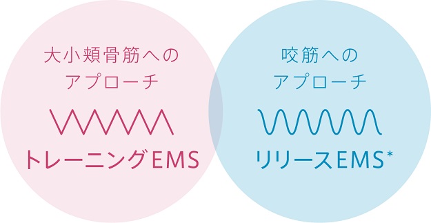 YAMAN EPM-18BB-1 メディリフトプラス ゲルセット | ノジマオンライン