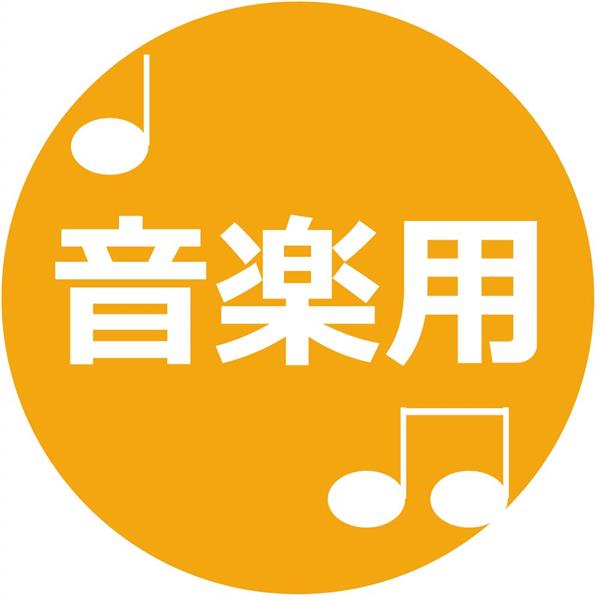 ELSONIC CD-R【1回音楽用/700MB/1-32倍速/20枚/スピンドル