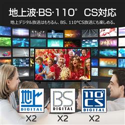 ELSONIC 2K液晶テレビ 24V型/HDD500GB内蔵/地デジ・BS・110度CS/W