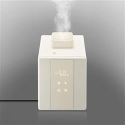 ELSONIC スチーム加湿器 タンク容量2.4L 加湿量500ml EDSHUM01
