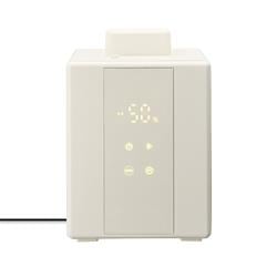 ELSONIC スチーム加湿器 タンク容量2.4L 加湿量500ml EDSHUM01