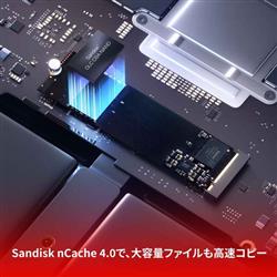 Western Digital 内蔵SSD WD Blue SN5100 M.2 2280 2TB NVMe 2025年9月