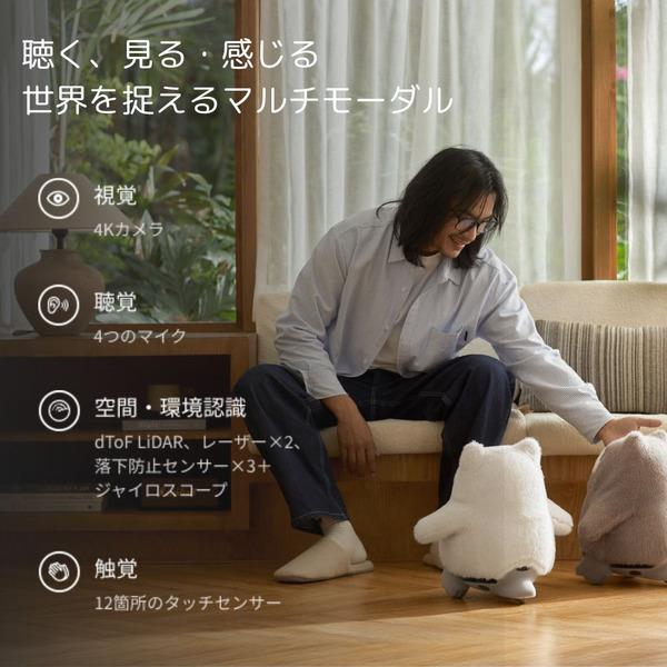 SwitchBot KATAフレンズ(グレー) W7912301 | ノジマオンライン