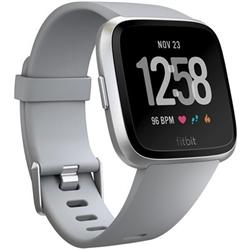 Fitbit FB505SRGY-CJK