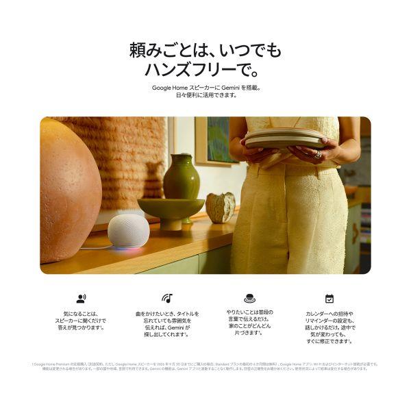 Google スマートスピーカー Google Home Speaker Hazel GA10554JP