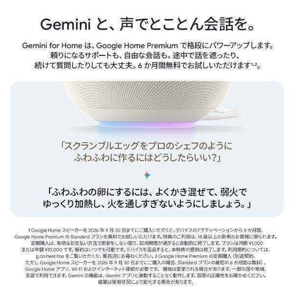 Google スマートスピーカー Google Home Speaker Hazel GA10554JP