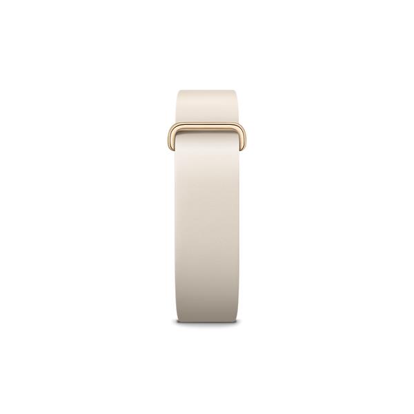 Google Fitbit Air プレミアム モダンバンド