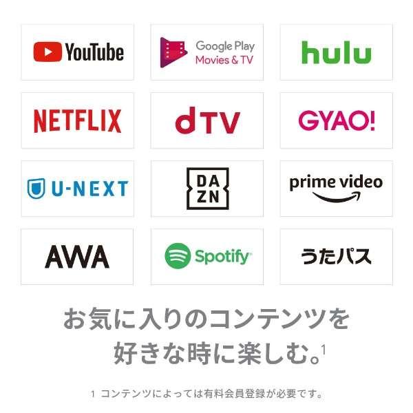 Google GA00439-JP Chromecast（クロームキャスト）チャコール | ノジマオンライン