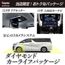 ALPINE/アルパイン VE2-EX11Z-12VWS-ESET