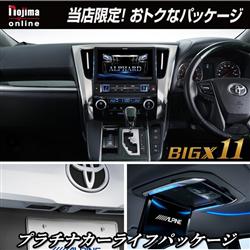 ALPINE/アルパイン EX11ZL-AL-12GB-ESET