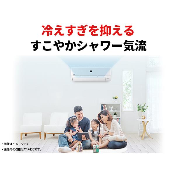 SHARP AY-R22N-W-ESET エアコン R-Nシリーズ【主に6畳/2.2KW/100V