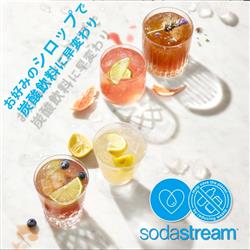 ソーダストリーム/SodaStream SSM1102 ソーダストリーム TERRA ソーダストリーム/SodaStream SSM1102 ソーダストリーム TERRA
