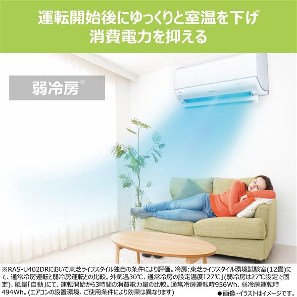 TOSHIBA エアコン [UDRシリーズ] 【8畳用 /2.5kw /100V /フィルター 