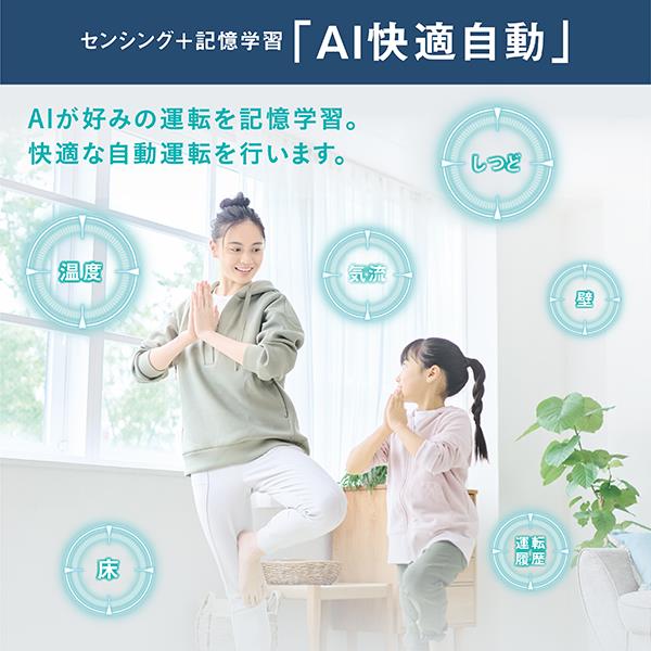 DAIKIN エアコン Aシリーズ 6畳用 2.2kw 100V フィルター自動お掃除