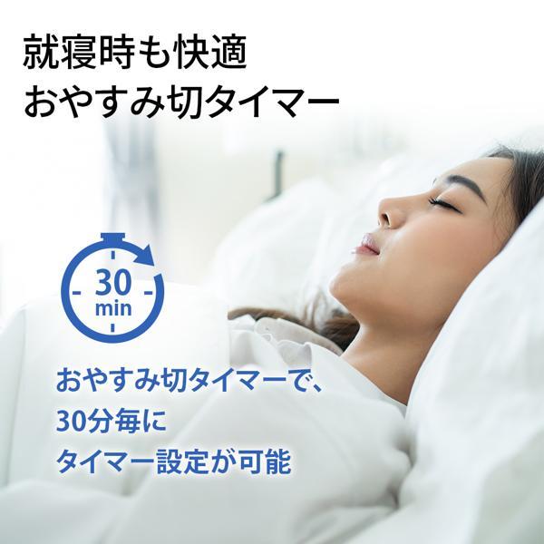 2023 sharp 8-10畳 あすつく対応 SHARP エアコン 冷暖房時おもに10畳用 AY-R28DM プラズマ
