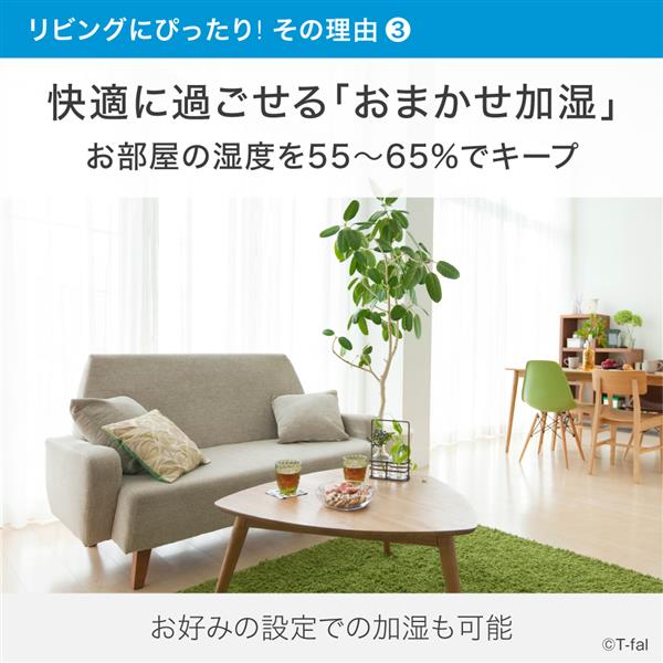 ティファール 加熱超音波式加湿器 8L大容量 10時間以上運転 HD6080J0