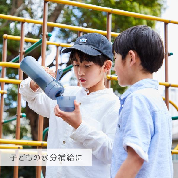 ブリタ ボトル型浄水器アクティブ 【モーヴローズ】 KBANCR2 | ノジマ