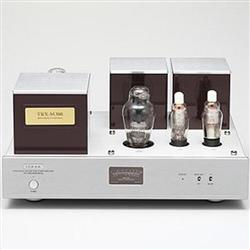 TRIODE TRX-M300