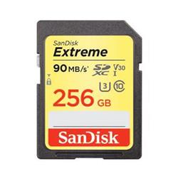 SanDisk SDSDXVF256GJN