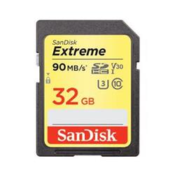 SanDisk SDSDXVE032GJN