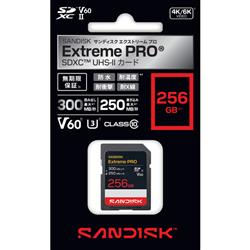 サンディスク SDSDXEM256GJNJI
