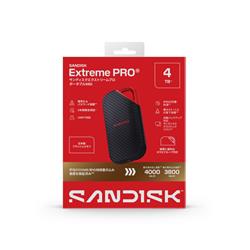 サンディスク SDSSDE834T00J25