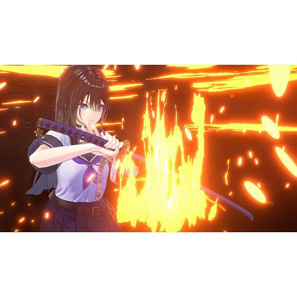 トラブルマギア　Switch　オトメイト IDEAFACTORY HAC-P-BERQA 【Switch】 トラブル・マギア ～訳アリ